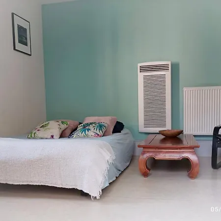 Le Cocon-gite-cour Et Jardin-wifi-proche Centre Hébergement de vacances *
