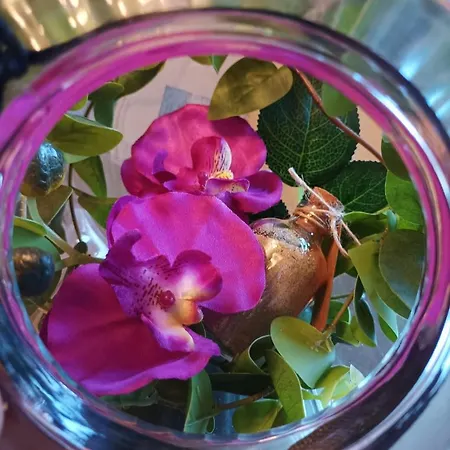 La Cahute, Avec Jardin Pour 15 Personnes