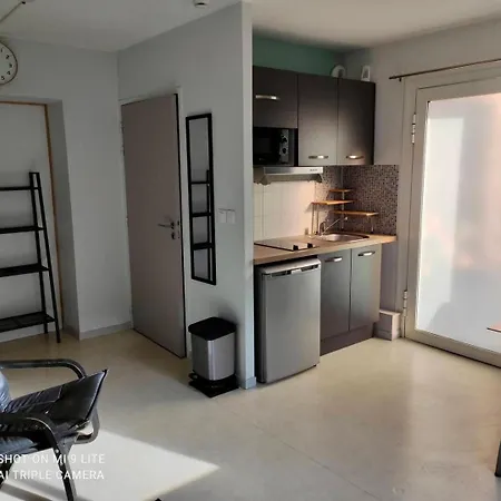 Tatil Evi La Cahute, Avec Jardin Pour 15 Personnes Montauban