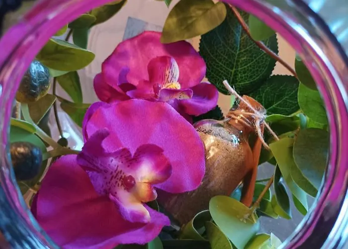 La Cahute, Avec Jardin Pour 15 Personnes